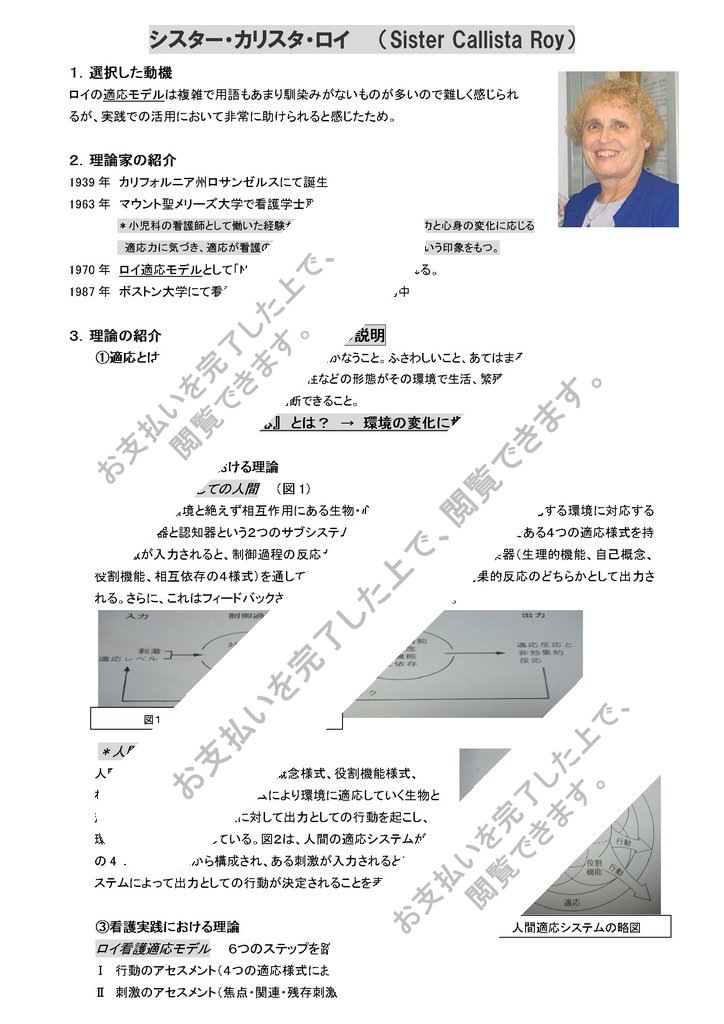 ロイ適応看護理論の理解と実践 - 健康