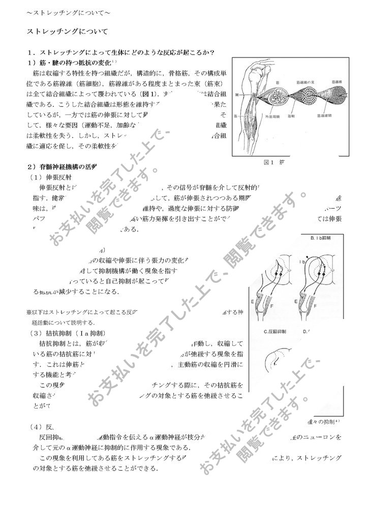 リハビリテーション ストレッチング Pt理学療法 Ot作業療法