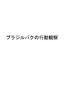 <strong>心理</strong><strong>学</strong>　「動物（バグ）の行動観察」　合格レポート