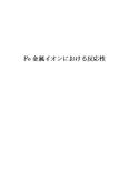 Fe金属<strong>イオン</strong>における反応性　評価：優