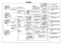 関連図　卵巣腫瘍　４７歳女性