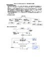 小児疾患レポート　(呼吸器系、消化器系、痙攣、<strong>てんかん</strong>)