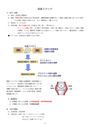 ★理学療法・作業療法実習対策レポート★<strong>関節</strong><strong>リウマチ</strong>の発生機序・病理について