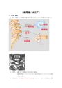 ★理学<strong>療法</strong>・<strong>作業</strong><strong>療法</strong><strong>実習</strong><strong>対策</strong><strong>レポート</strong>★椎間板ヘルニアについて