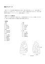 ★理学療法・作業療法実習対策<strong>レポート</strong>★体位ドレナージについて