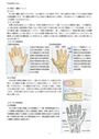 手の機能解剖・<strong>運動</strong>について【PT理学<strong>療法</strong>・OT作業<strong>療法</strong>】